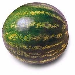 Watermelon, 4-5 Kg